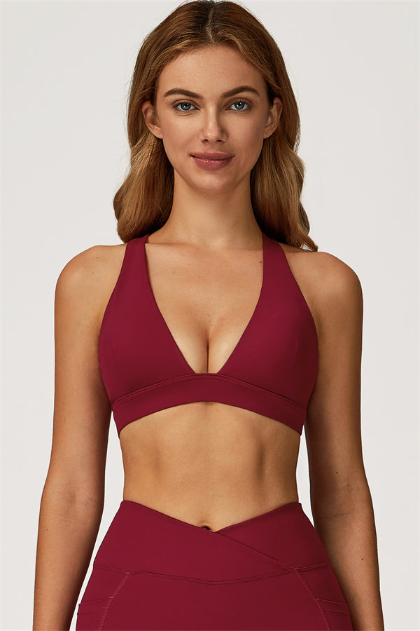 The Glacier Cross Bra