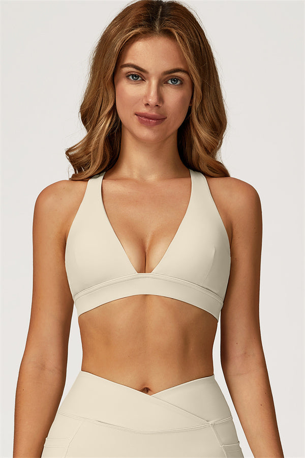 The Glacier Cross Bra